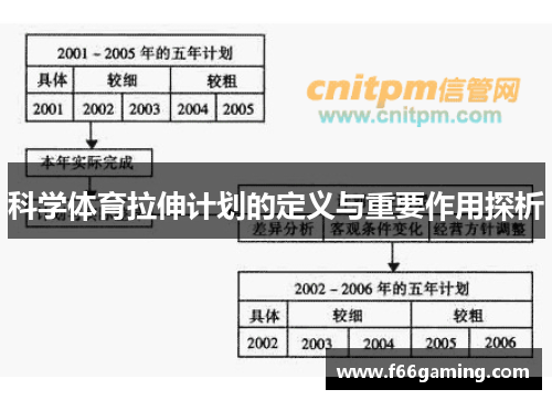 科学体育拉伸计划的定义与重要作用探析