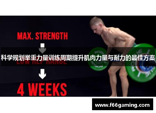 科学规划举重力量训练周期提升肌肉力量与耐力的最佳方案