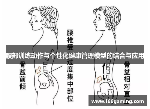 腹部训练动作与个性化健康管理模型的结合与应用